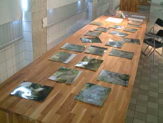 Flyttblock & Klipphällar 2006 (Site specific public interaction, drawing, photographic)